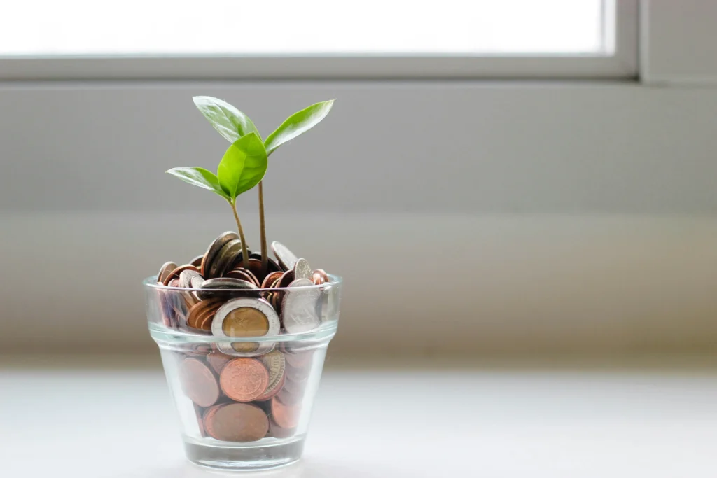 植物と硬貨